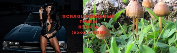 ECSTASY Кинешма