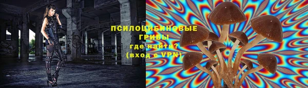 ECSTASY Кинешма