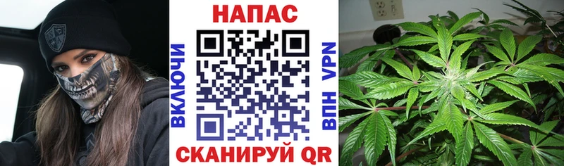 Бошки марихуана Amnesia  Купить где  Ханты-Мансийск 